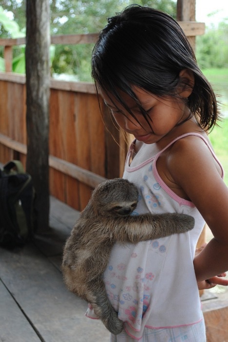 baby sloth hugs girl