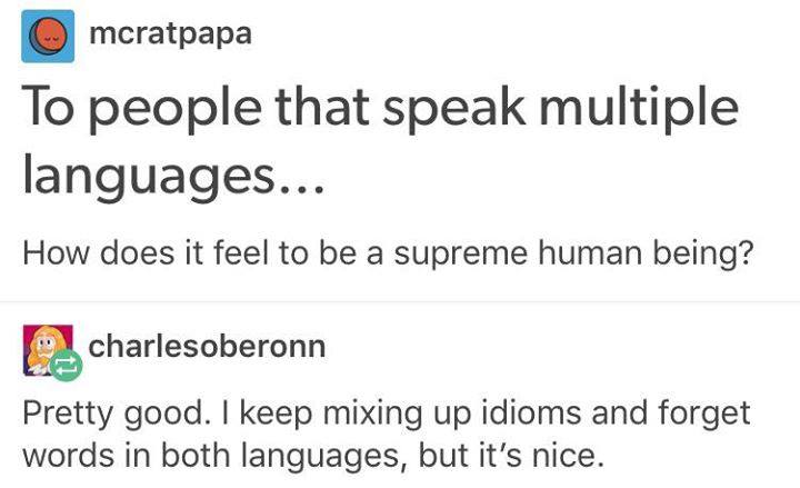 tumblr - speak many languages meme - mcratpapa To people that speak multiple languages... How does it feel to be a supreme human being? charlesoberonn Pretty good. I keep mixing up idioms and forget words in both languages, but it's nice.