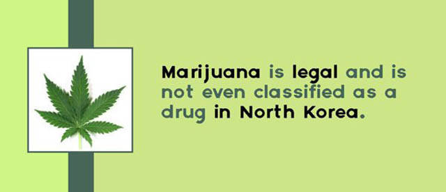 Random Facts About Drugs That...