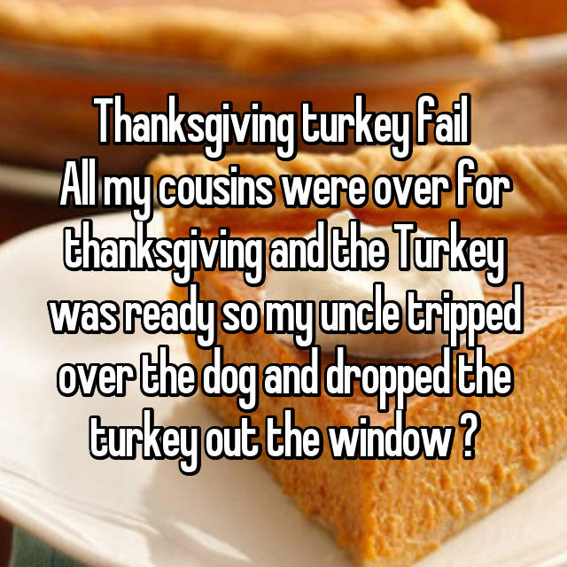 dish - Thanksgiving turkey fail All my cousins were over for thanksgiving and the Turkey was ready so my uncle tripped over the dog and dropped the turkey out the window?
