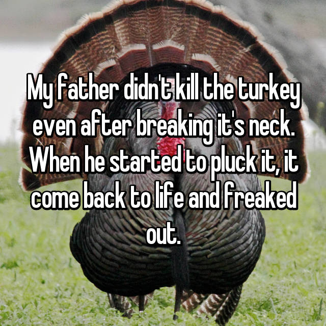 feel after thanksgiving - My father didn't kill the turkey even after breaking it's neck When he started to pluck it, it come back to life and freaked out.
