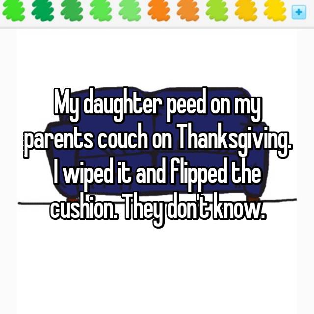 diagram - My daughter peed on my parents couch on Thanksgiving | wiped it and Flipped the cushion Theydont know.