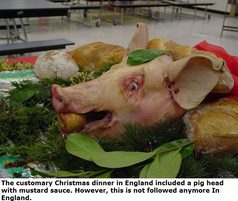 snout - The customary Christmas dinner in England included a pig head with mustard sauce. However, this is not ed anymore In England.