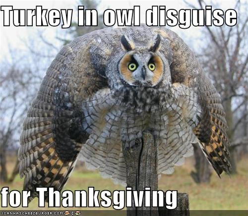 25 Thanksgiving Memes We Can All Be Thankful For!