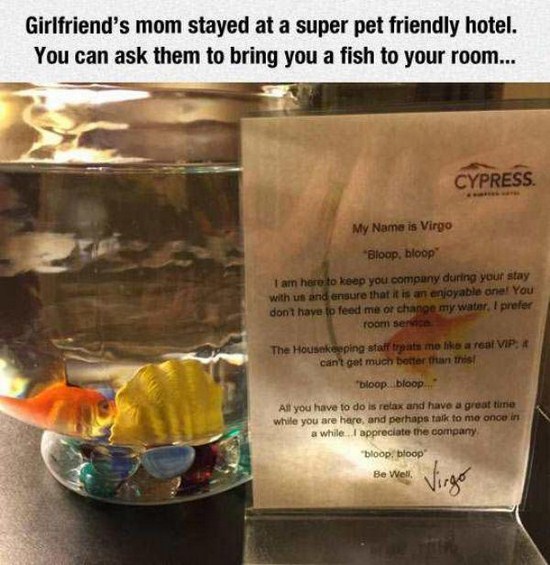 20 Weird and Funny Things People Find in Hotels!