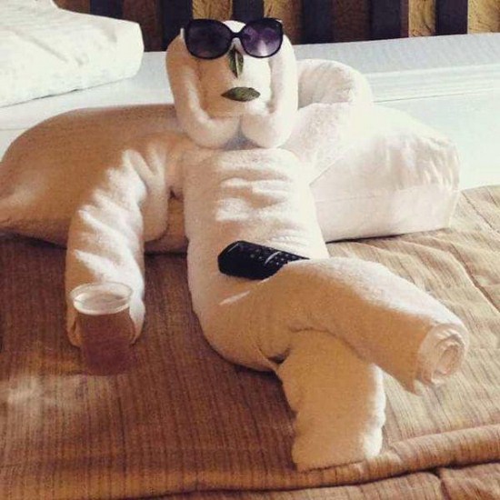 20 Weird and Funny Things People Find in Hotels!