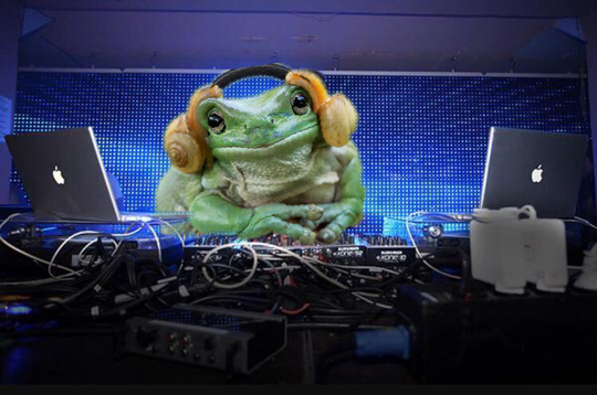 PhotoshopInternet Battle of the Week: Frog with Snails on Its Head!