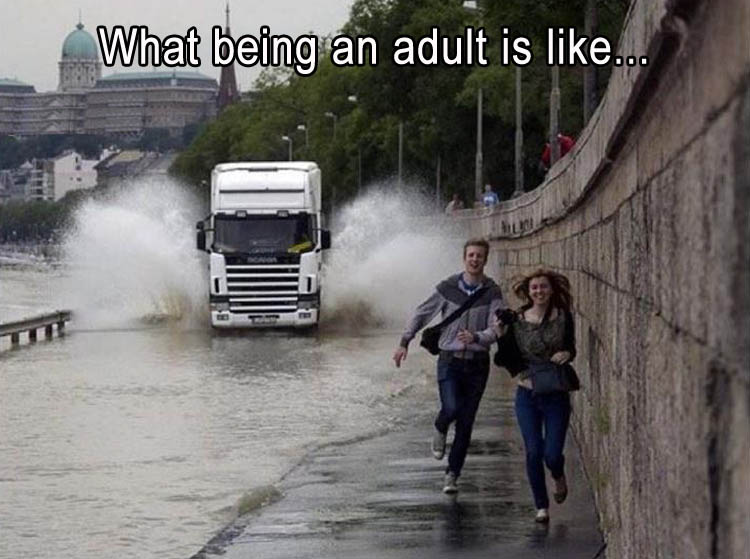 being an adult sucks meme - ing an adult is ..