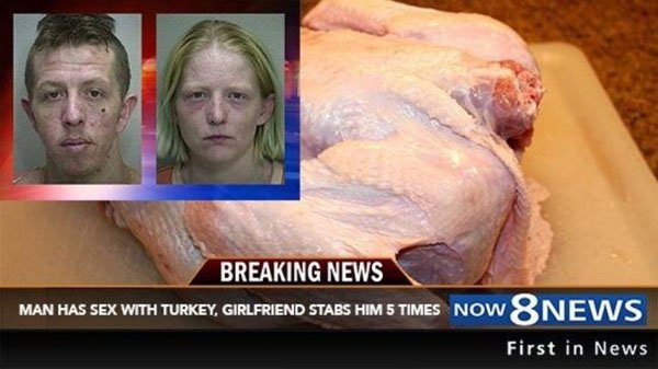 fucking a turkey - Breaking News Man Has Sex With Turkey, Girlfriend Stabs Him 5 Times Now News First in News