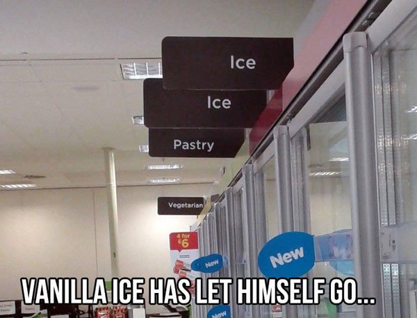 ice ice pastry - Ice Ice Pastry Vegetarian No New Vanilla Ice Has Let Himself Go...