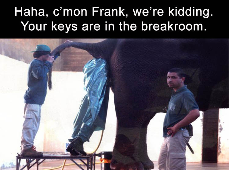 cleaning elephant ass - Haha, c'mon Frank, we're kidding. Your keys are in the breakroom.