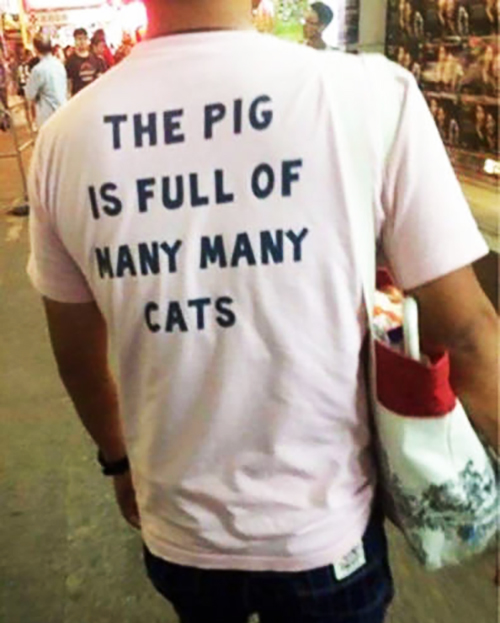 chinese shirts in english - The Pig Is Full Of Nany Many Cats