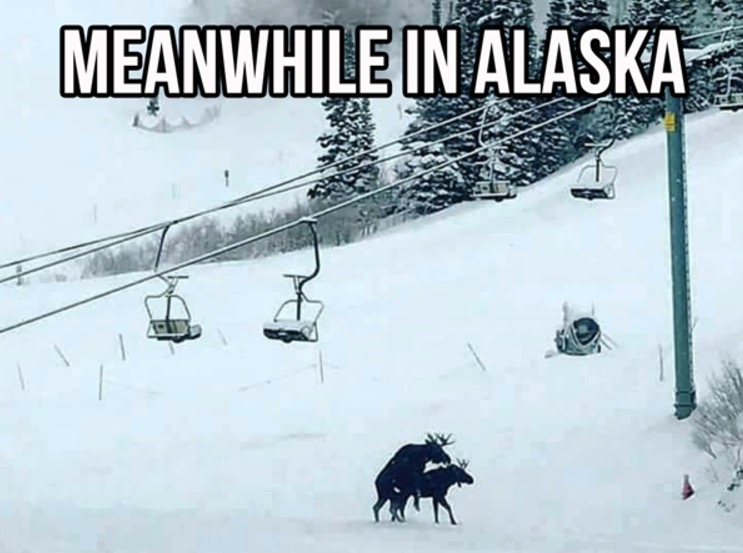 meanwhile in alaska meme - Meanwhile In Alaska