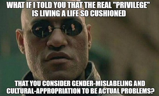 if you have a problem with me meme - What If I Told You That The Real "Privilege Is Living A Life So Cushioned That You Consider GenderMislabeling And CulturalAppropriation To Be Actual Problems?