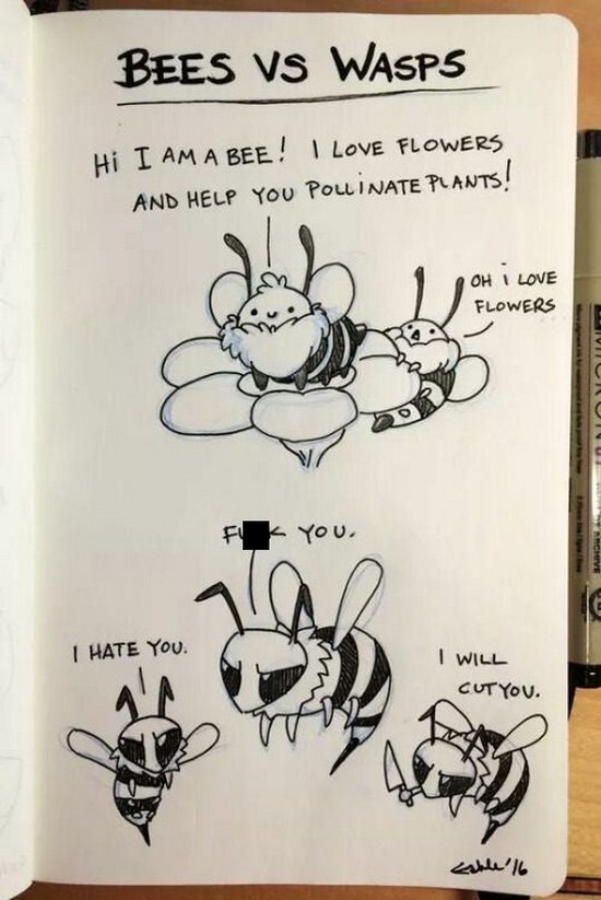 bee vs wasp funny - Bees Vs WASP5 Hi I Am A Bee! I Love Flowers And Help You Pollinate Plants! Oh I Love Flowers Fu K You. I Hate You. I Will Cut You.