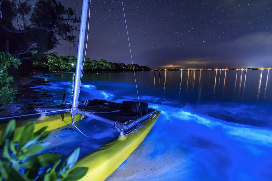 bioluminescent bay puerto rico