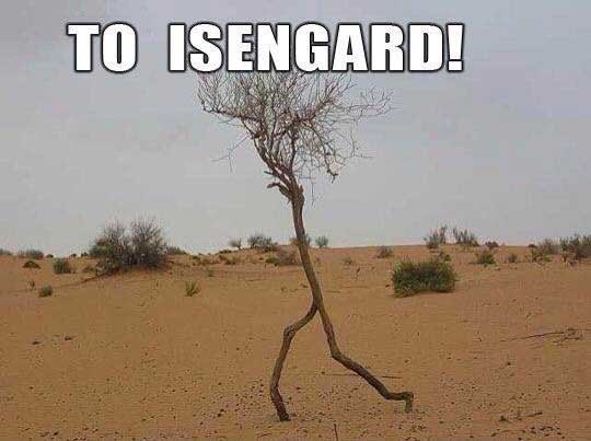 run forest run - To Isengard!