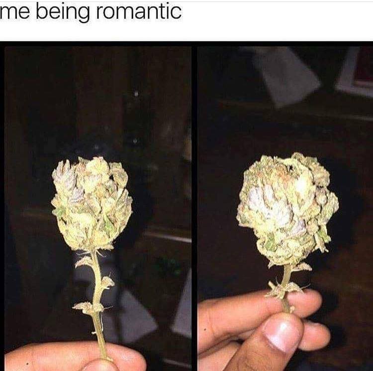 Romantic marijuana nugget that looks like a rose flower.