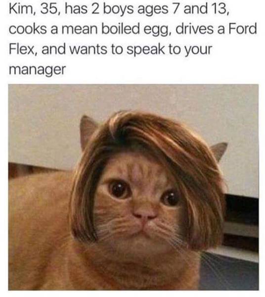 Funny haircut wig on a cat captioned joking she is a typical middle aged woman and want's to speak to your manager.
