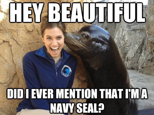 Girl getting a surprise kiss from a seal
