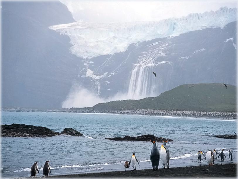 wikileaks photos of antarctica