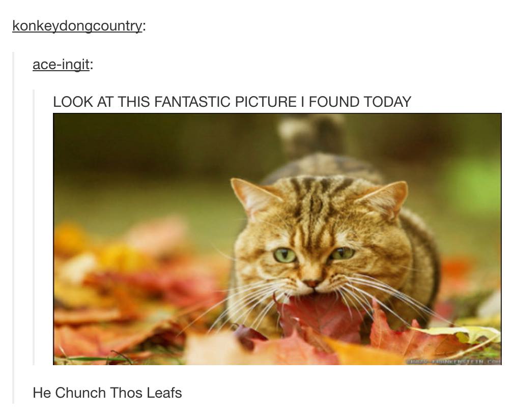 tumblr - he chunch thos leafs - konkeydongcountry aceingit Look At This Fantastic Picture I Found Today He Chunch Thos Leafs