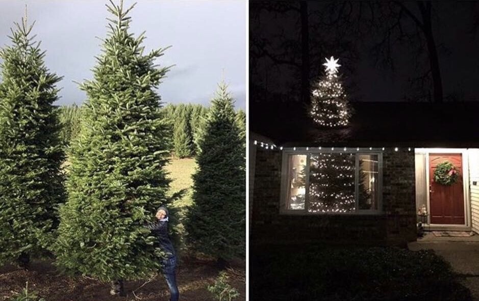 christmas pics and memes - christmas tree on roof