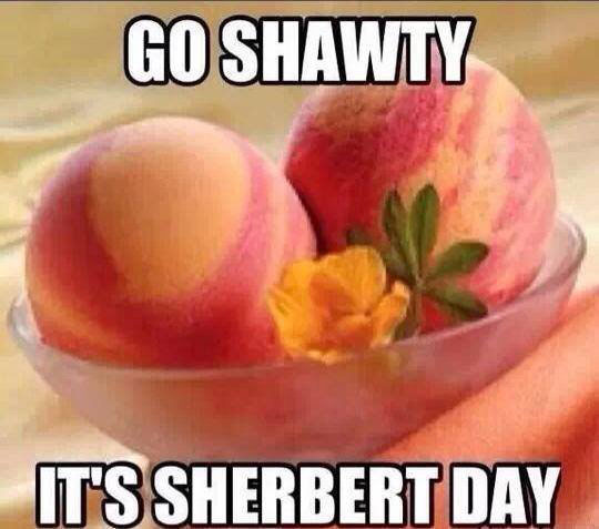 go shawty it's sherbert day gif - Goshawty It'S Sherbert Day