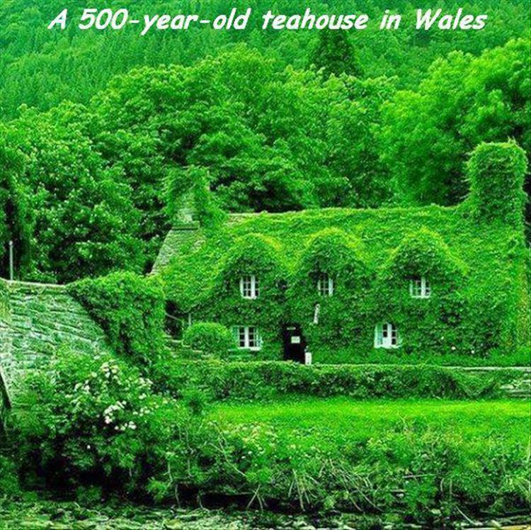 500 year old tea house wales - A 500yearold teahouse in Wales