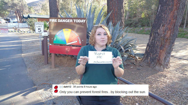 27 People Asked To Be Roasted And Got Torched!