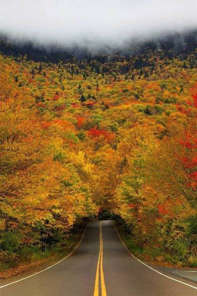 tree tunnel smuggler's notch state park vermont