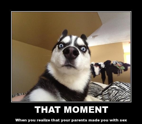 happy birthday dog meme - That Moment When you realize that your parents made you with sex