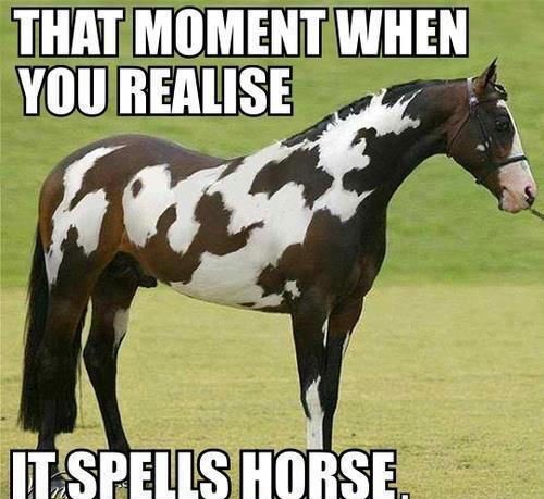 freebird records - That Moment When You Realise Tt Spelis Horse