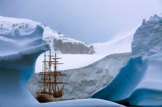 rene koster antarctica