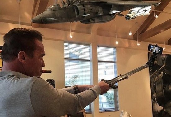 arnold schwarzenegger selfie stick