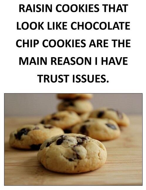 Raisin Cookies That Look Chocolate Chip Cookies Are The Main Reason I Have Trust Issues.