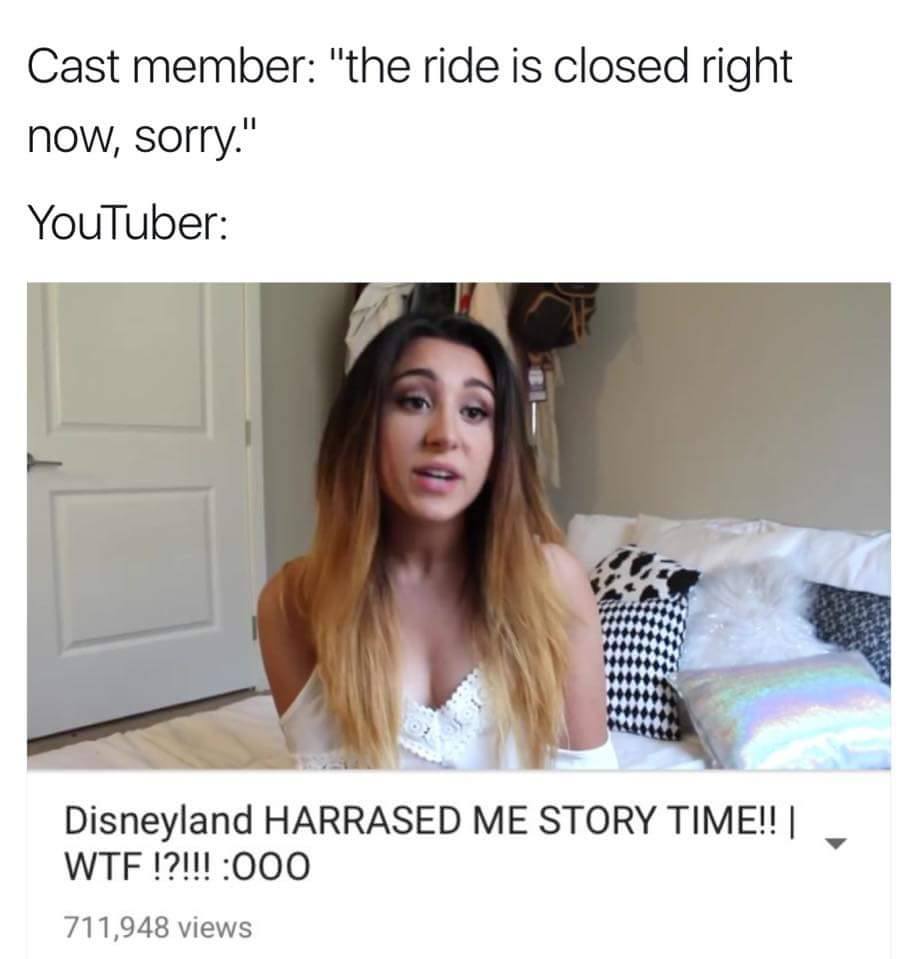 youtube storytime memes - Cast member "the ride is closed right now, sorry." YouTuber Disneyland Harrased Me Story Time!! || Wtf!?!!! 000 711,948 views