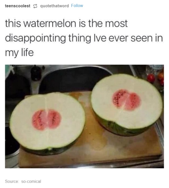 if you think you having a bad day - teenscoolest quotethatword this watermelon is the most disappointing thing Ive ever seen in my life Source socomical