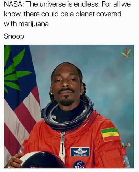 weed meme - Nasa The universe is endless. For all we know, there could be a planet covered with marijuana Snoop