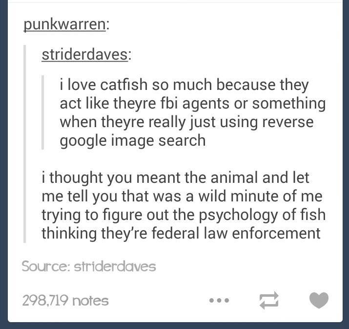 tumblr - document - punkwarren striderdaves i love catfish so much because they act theyre fbi agents or something when theyre really just using reverse google image search i thought you meant the animal and let me tell you that was a wild minute of me tr