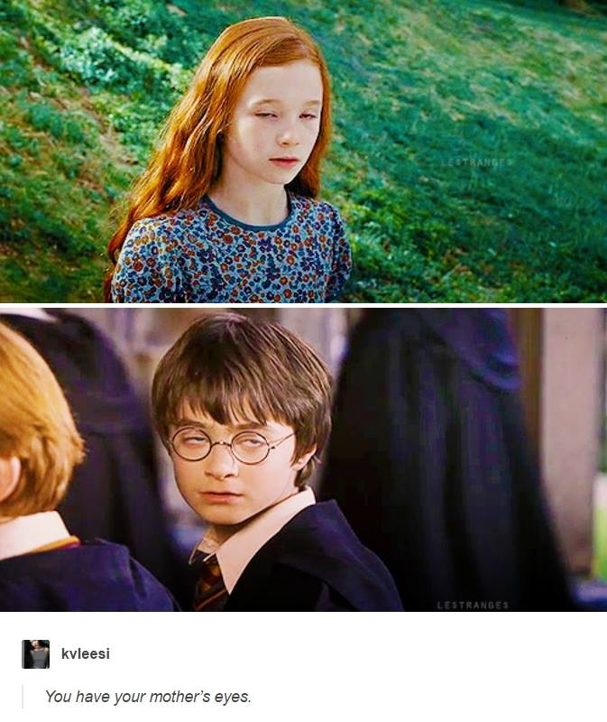 tumblr - harry potter you have your mothers eyes - Lestranges kvleesi You have your mother's eyes.