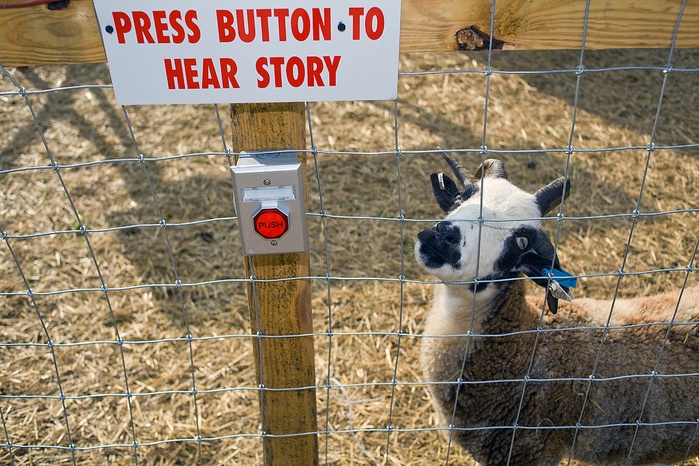 do you have to tell me goat - Press Button To Hear Story Push