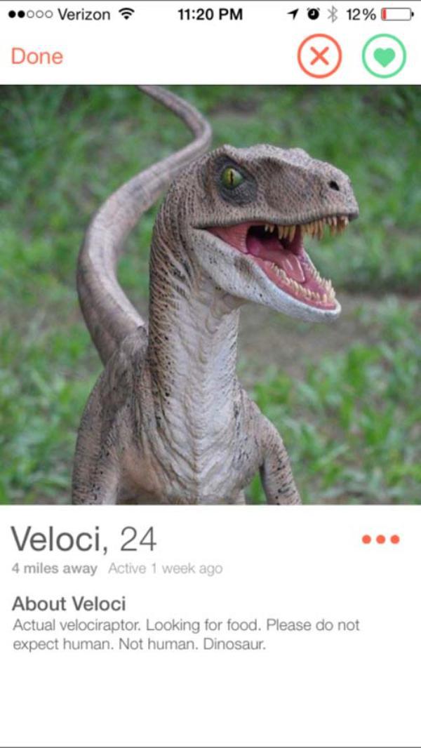 If Animals Could Tinder!