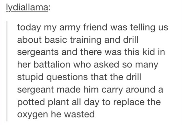 tumblr - document - lydiallama today my army friend was telling us about basic training and drill sergeants and there was this kid in her battalion who asked so many stupid questions that the drill sergeant made him carry around a potted plant all day to 
