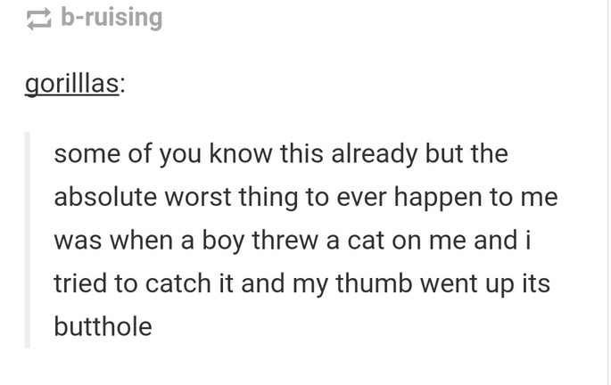 tumblr - Dios No Juega a Los Dados - bruising gorilllas some of you know this already but the absolute worst thing to ever happen to me was when a boy threw a cat on me and i tried to catch it and my thumb went up its butthole
