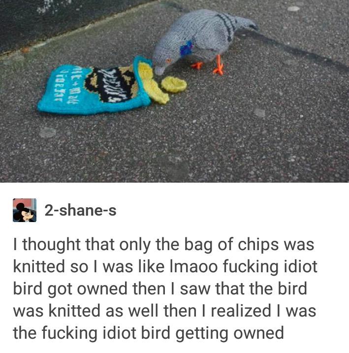 tumblr - idiot bird getting owned - Vigelar 2shanes I thought that only the bag of chips was knitted so I was Imaoo fucking idiot bird got owned then I saw that the bird was knitted as well then I realized I was the fucking idiot bird getting owned