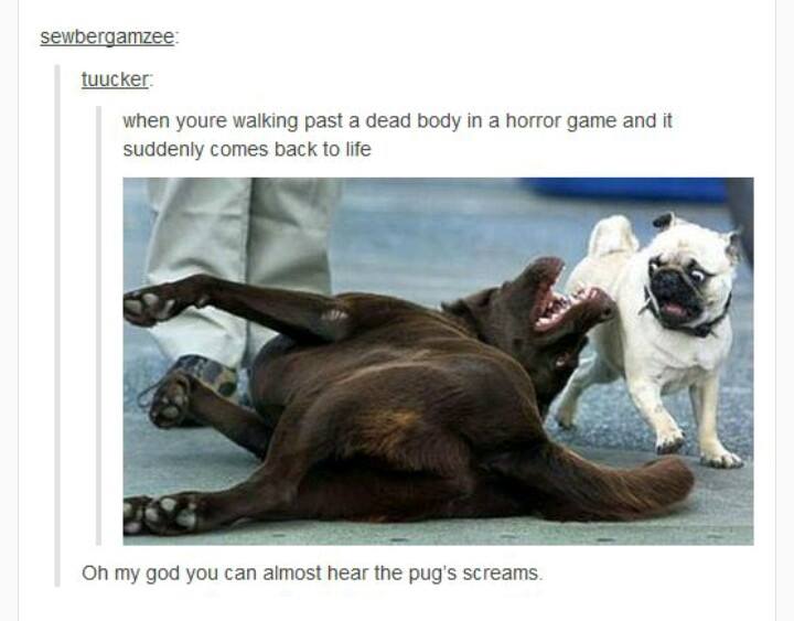 tumblr - horror game memes - sewbergamzee tuucker when youre walking past a dead body in a horror game and it suddenly comes back to life Oh my god you can almost hear the pug's screams.