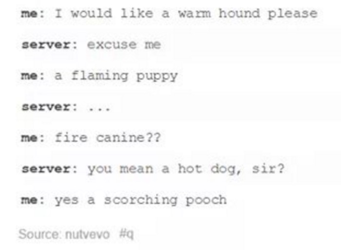 tumblr - document - me I would a warm hound please server excuse me me a flaming puppy server me fire canine?? server you mean a hot dog, sir? me yes a scorching pooch Source nutvevo
