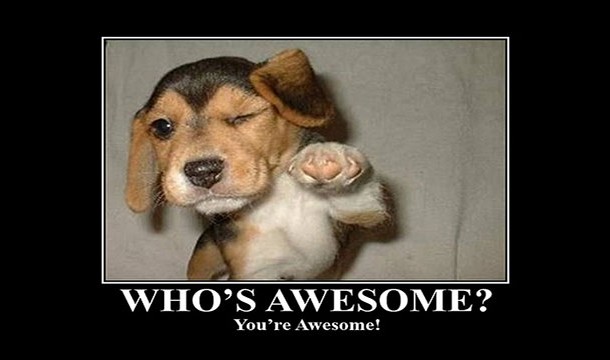 you are both awesome - Who'S Awesome? You're Awesome!