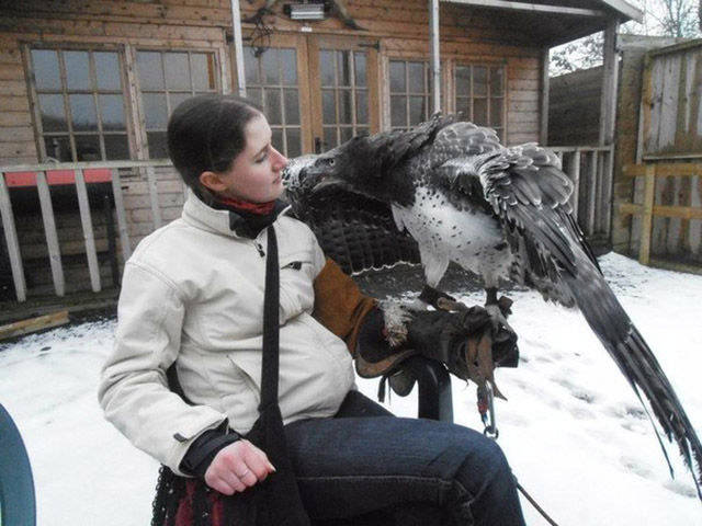 cool pic massive bird of prey